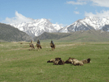 West Tian Shan Interstate Biodiversity Project (2001 & 1996) 